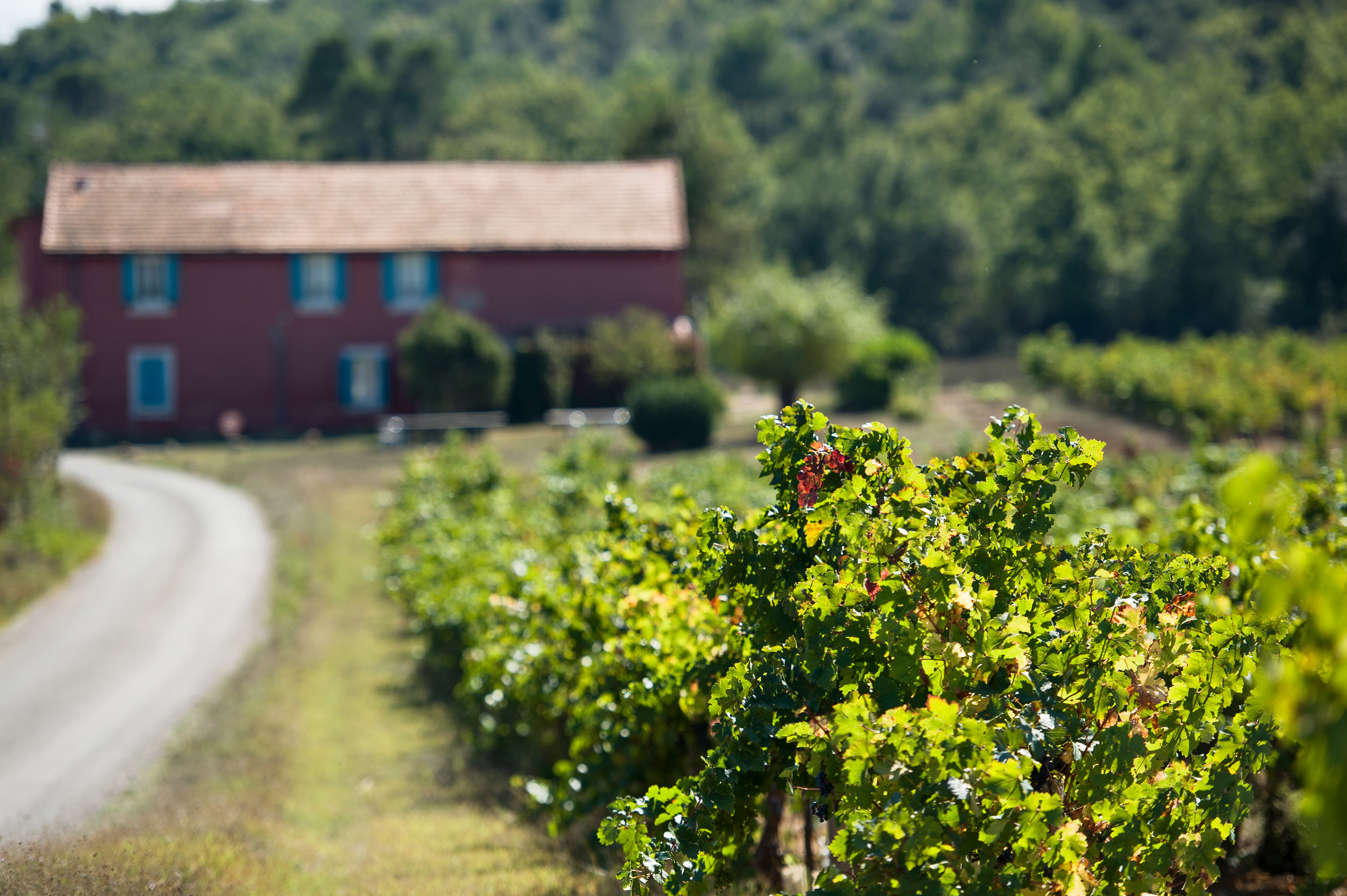 Les Terres du Relais - Domaine Saint-Hilaire